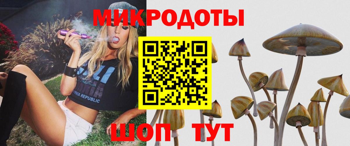 Псилоцибиновые грибы GOLDEN TEACHER Карпинск