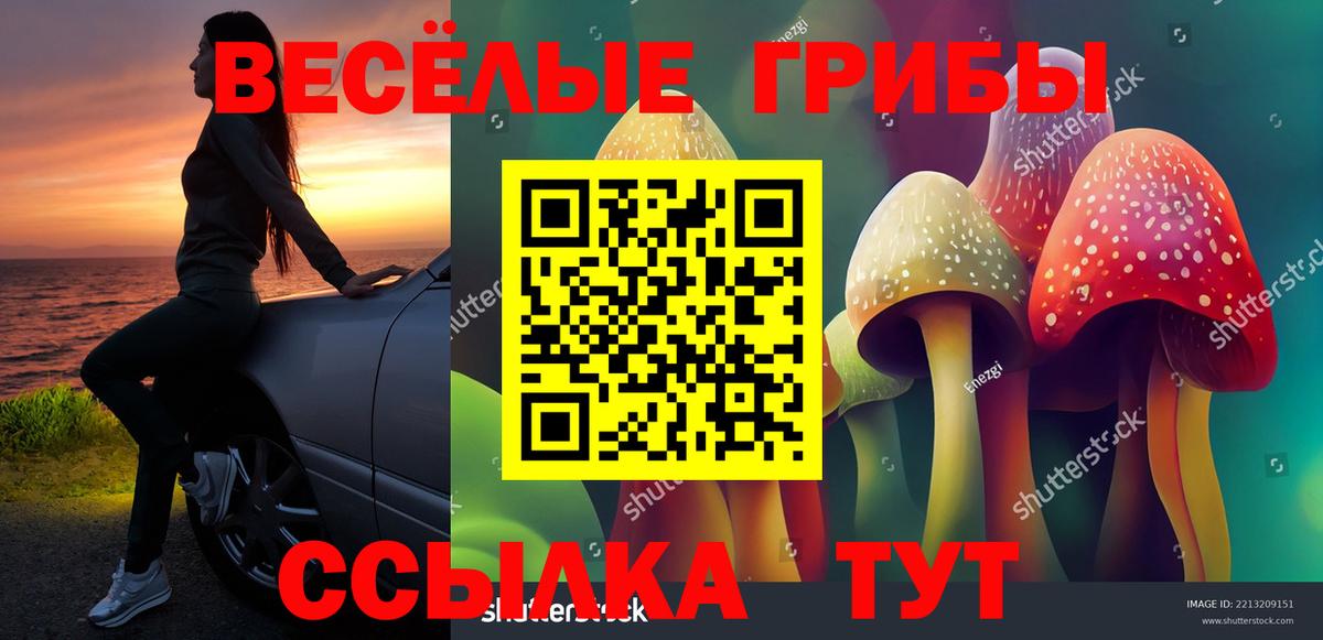 Карпинск  Псилоцибиновые грибы Psilocybe  купить наркоту  Вход с VPN 